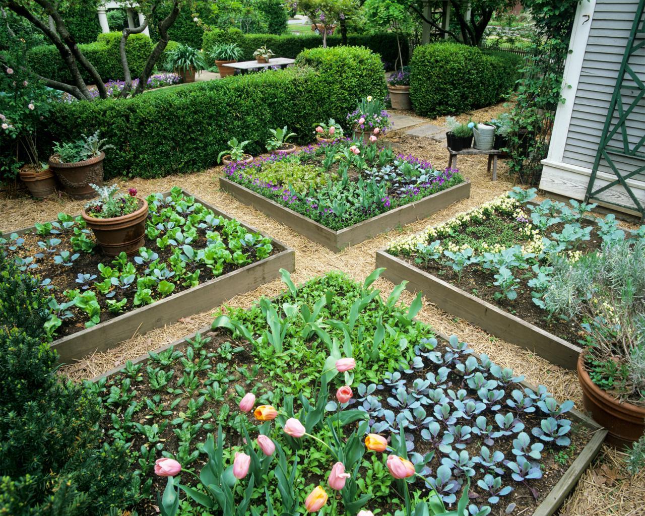 Why Some Plants Will Fail in Raised Bed Gardens