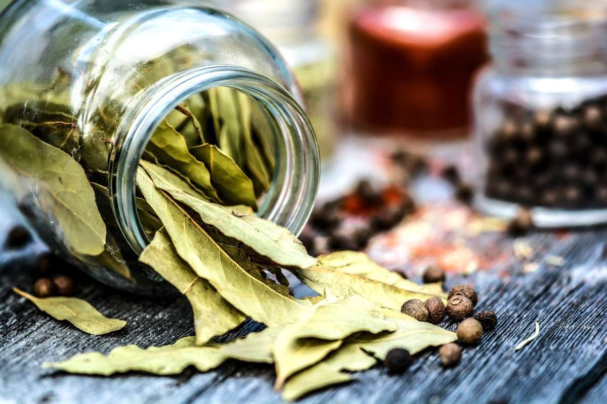 How to Get the Best Flavor with These Bay Leaf Substitutes